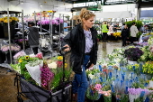 Mothers Day flowers