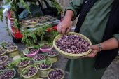 Mulberry seasonal fruit sales
