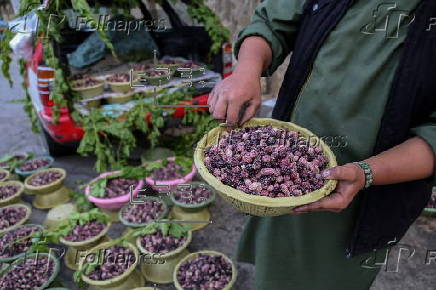 Mulberry seasonal fruit sales