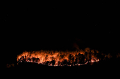 Wildfire in Martigues