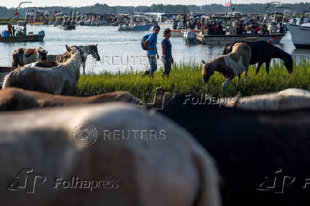 100th annual Chincoteague Pony Swim