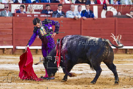 FERIA DEL CABALLO DE JEREZ