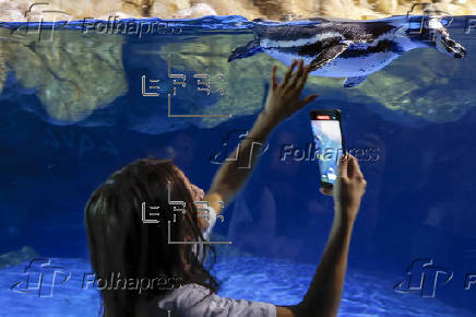 L'Aquàrium se renueva con nuevas experiencias inmersivas y la incorporación de especies
