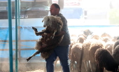 Eid al-Adha celebration in Iran