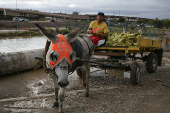 Severe storm hits Ciudad Juarez