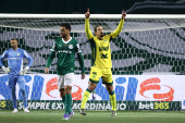 Palmeiras e Mirassol pelo Campeonato Brasileiro