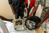 A woman buys fresh fish at the fishing quay in Yoff beach, Dakar