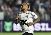 Brasileiro Championship - Santos v Flamengo