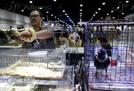 Pet Expo Thailand 2025 in Bangkok