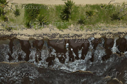 Beach is covered in sargassum seaweed washed ashore during its season in Puerto Rico