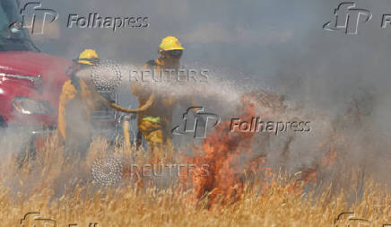 Firefighters battle flames at brushfire in Woodland California