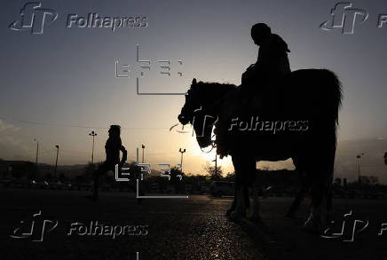 Horse riding in Sana'a