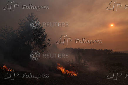 Wildfire in Portugal's Arouca region