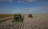 ESPECIAL-AGRO