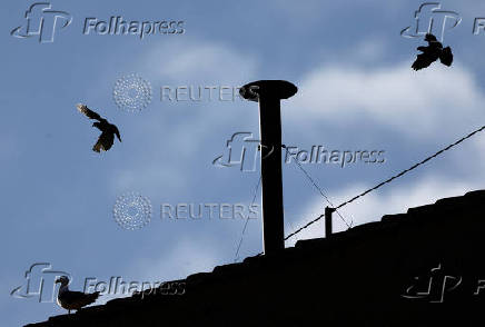 Conclave to elect the new pope, at the Vatican