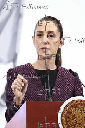 Sheinbaum reitera que “nunca” llamó a los mexicanos a movilizaciones violentas en EE.UU.