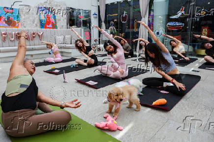 International Yoga Day in Bangkok