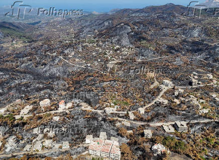 Aftermath of wildfires in Latakia countryside