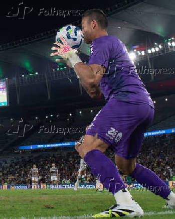 BRASILEIRO A 2025, FLUMINENSE X PALMEIRAS