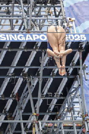 World Aquatics Championships Singapore 2025 - Day 14