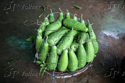 Vegetable prices soar again in Dhaka due to crop damage from rain