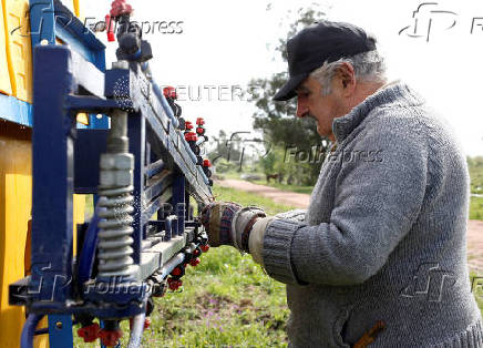 FILE PHOTO: Uruguay presidential candidate Mujica works on his farm after casting his vote during the Uruguayan National elections
