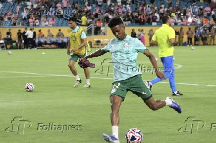 Inter miami fc vs palmeiras :fifa club world cup.