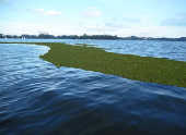 Represa de Guarapiranga