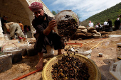 A Yazidi man cleans olives to extract oil inside the Lalish temple in Shekhan district, near Duhok province