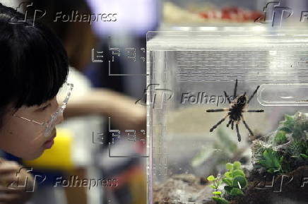 Pet Expo Thailand 2025 in Bangkok
