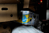 Chiquita Panama announces mass firing of banana workers after strike