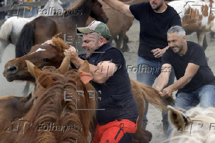 Rapa das Bestas de la sierra de A Capelada
