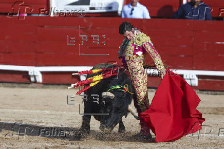 Toros en Toledo
