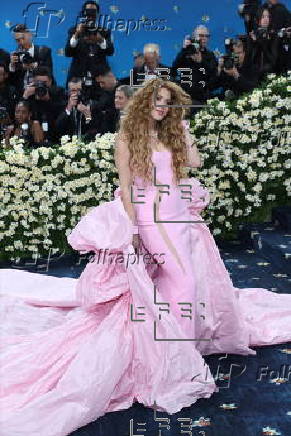 2025 Met Gala red carpet at the Metropolitian Museum of Art in New York