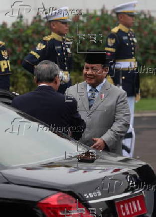 Chinese Premier Li Qiang meets Indonesian President Prabowo Subianto in Jakarta