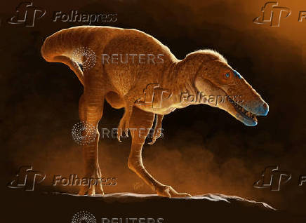 A life reconstruction of the newly identified dinosaur species Khankhuuluu mongoliensis, which lived 86 million years ago in Mongolia, is seen in this handout illustration