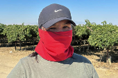 El miedo que se cosecha: jornaleros en California bajo las redadas migratorias