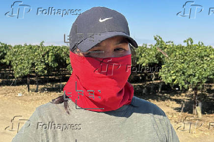 El miedo que se cosecha: jornaleros en California bajo las redadas migratorias