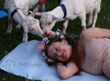 People practice yoga with baby goats in Moscow