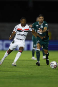 BRASILEIRO B 2025, BOTAFOGO-SP X GOIAS