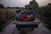Children ride on wooden cart through mango plantation in Multan, Pakistan