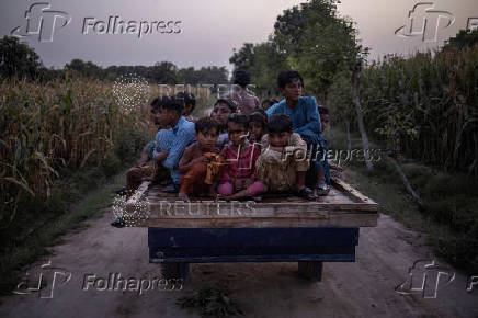 Children ride on wooden cart through mango plantation in Multan, Pakistan