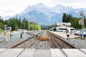 Canada prepares to host G7 in Banff