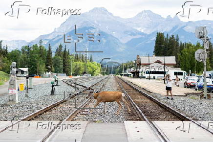 Canada prepares to host G7 in Banff