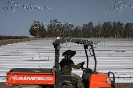 A person works along a crop field in Oxnard
