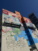 Grafite em execução no Elevado Presidente João Goulart