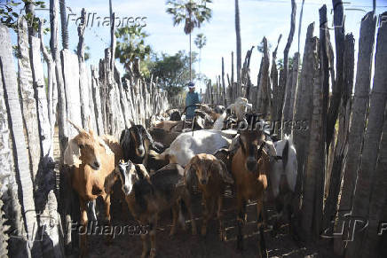 Agropecuaria