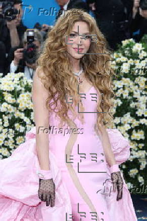 2025 Met Gala red carpet at the Metropolitian Museum of Art in New York