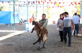 Eid al-Adha celebration in Iran