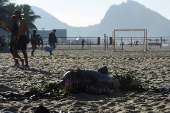 Protest against the expansion of oil exploration in the Amazon ahead of the BRICS Summit, in Rio de Janeiro